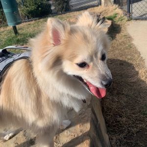 Meet your Posher, Ingrid